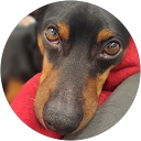 Jana Z. profile picture