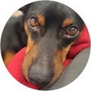 Jana Z. profile picture